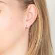 9ct Yellow Gold 10mm Sleeper Earrings on Sale