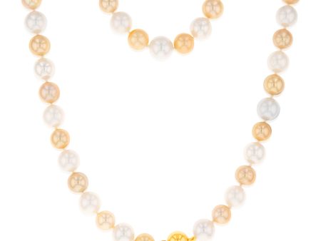 Golden and White South Sea 8-10mm Pearl Strand with 9ct Yellow Gold Clasp For Discount