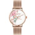 Ted Baker BKPHHS124 Phylipa Serendiptiy Online Hot Sale