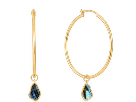 Ania Haie Gold Plated Sterling Silver Tidal Abalone Drop Hoop Earrings Fashion