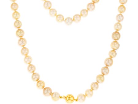 Golden Southsea 6-8mm Pearl Strand with 9ct Yellow Gold Clasp on Sale