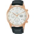 Alba Prestige AM3866X Chronograph Hot on Sale