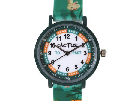 Cactus Time Teacher CAC143M12 Dinosaur For Discount