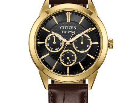 Citizen Eco-Drive BU2112-06E Multi-Function For Discount