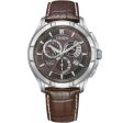 Citizen Eco-Drive BL8160-07X Perpetual Calendar Sale