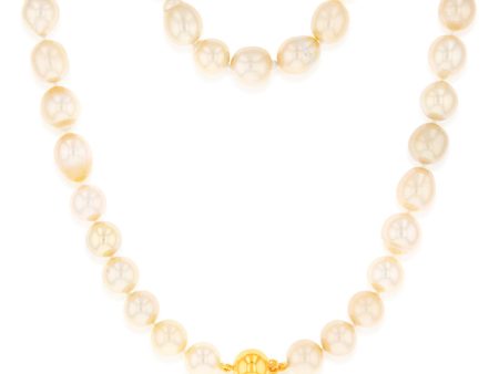 Golden South Sea 10mm Pearl Strand with 9ct Yellow Gold Clasp Online Sale