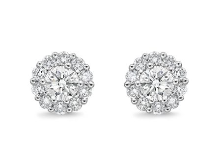 Memoire 18ct White Gold 1 4 Carat Diamond Blossom Style Fashion Studs For Cheap